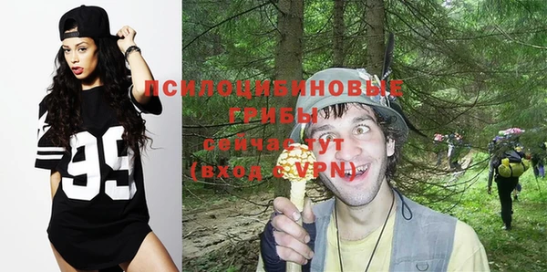 крисы Балахна